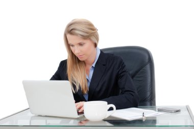 dizüstü bilgisayar kullanan güzel genç iş kadını