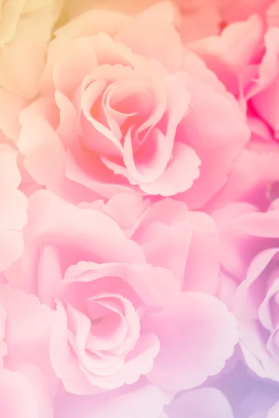 kumaş pembe gül arkaplanı