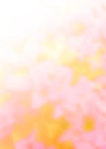 Размытое фото розового цветка — стоковое фото
