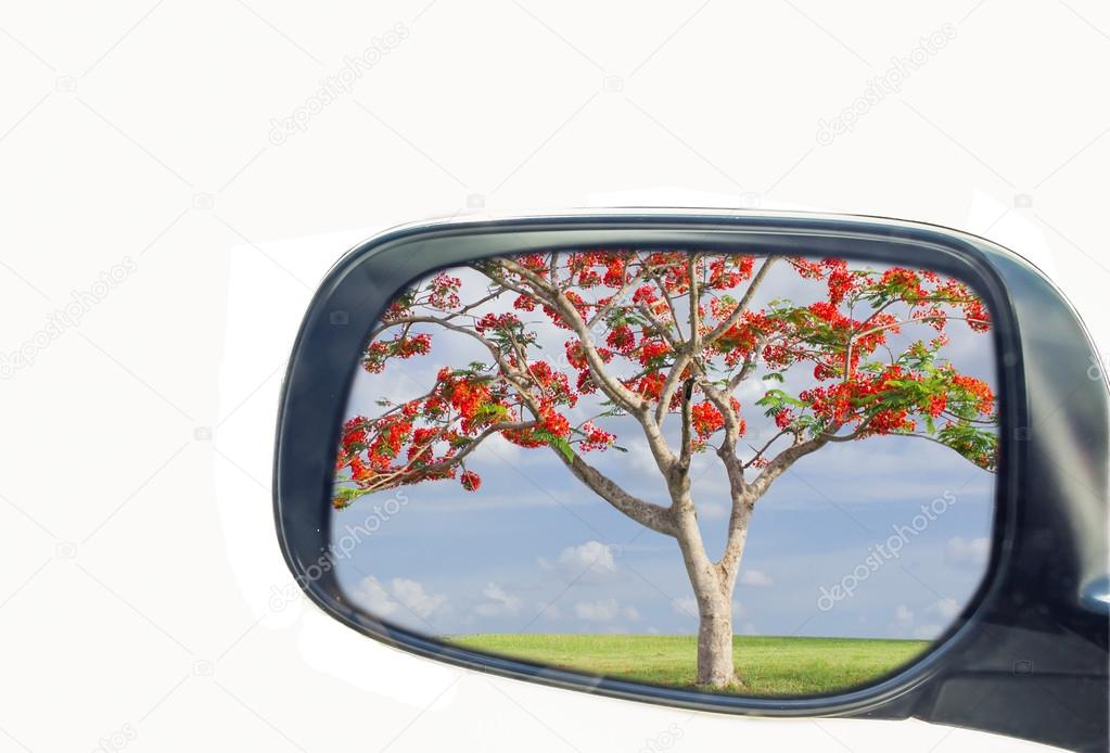 side view mirror 