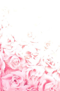 kumaş pembe gül arkaplanı