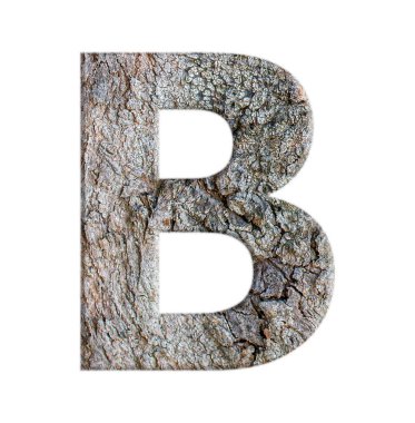 Beyaz arkaplanda izole edilmiş ağaç kabuğundan alfabeler: harf B