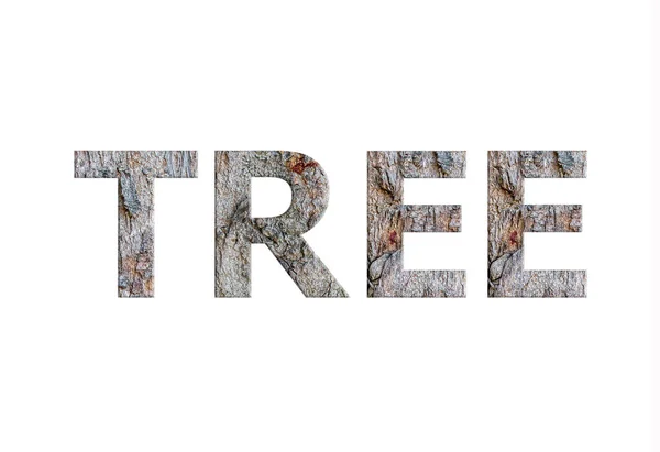 Alfabet Från Bark Träd Isolerad Vit Bakgrund Ord Träd — Stockfoto