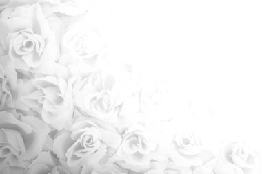 kumaş gül arkaplanı siyah beyaz filtre