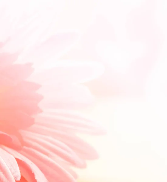 Suddig Bild Rosa Tyg Gerbera Blomma — Stockfoto