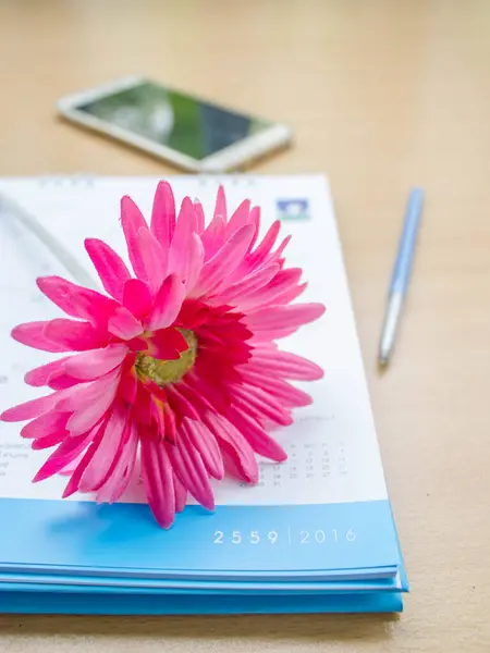 Rosa Yerbera Calendario —  Fotos de Stock