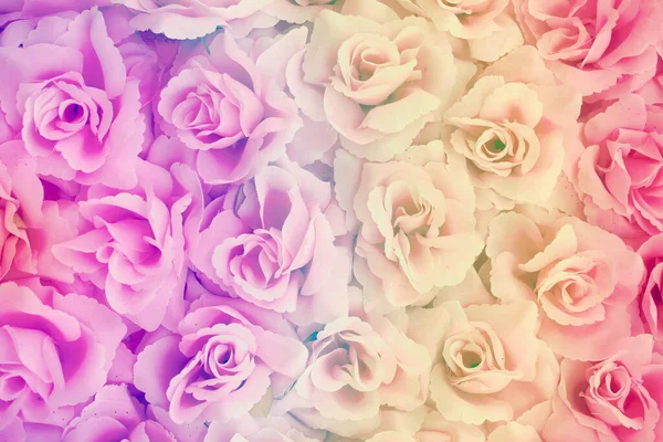 ファブリックピンク色のバラの背景カラーフィルター — ストック写真