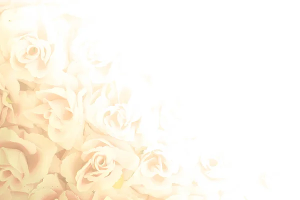 Тканина Рожевий Трояндовий Фон Кольоровому Фільтрі — стокове фото