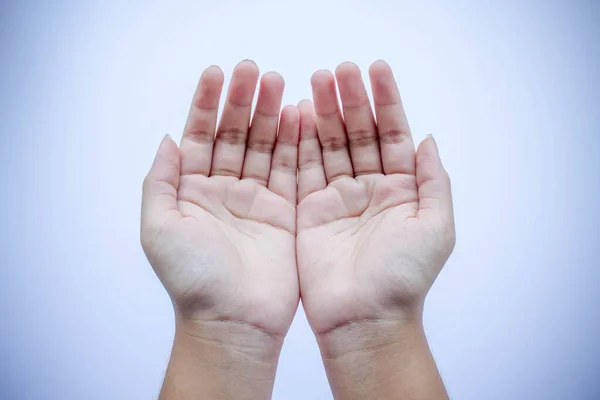 Les Mains Vides Ouvertes Humaines Sur Fond Blanc — Photo