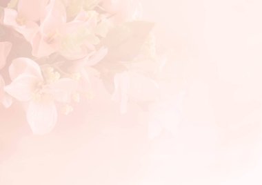 Bulanık kumaş çiçeği renk tonuyla