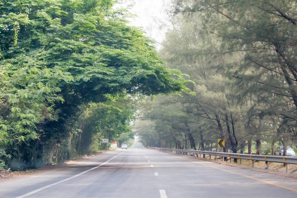 Droga Tajlandii Zielonym Drzewem — Zdjęcie stockowe
