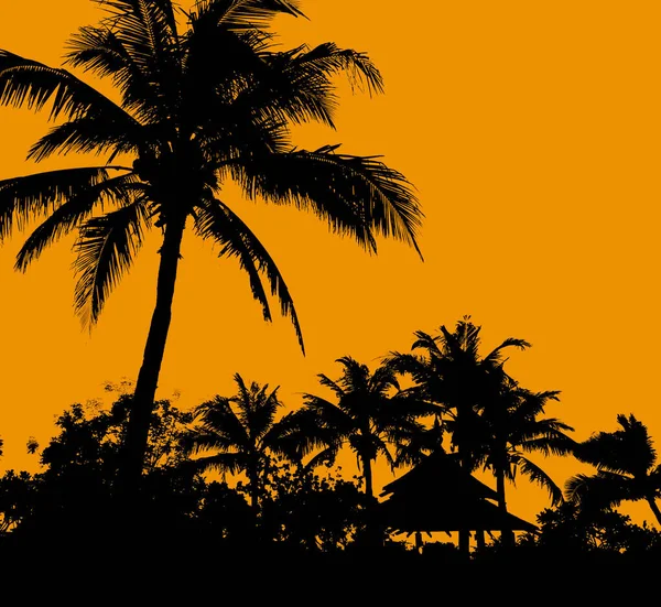 Sylwetka Palma Kokosowa Złotym Tle Nieba — Zdjęcie stockowe