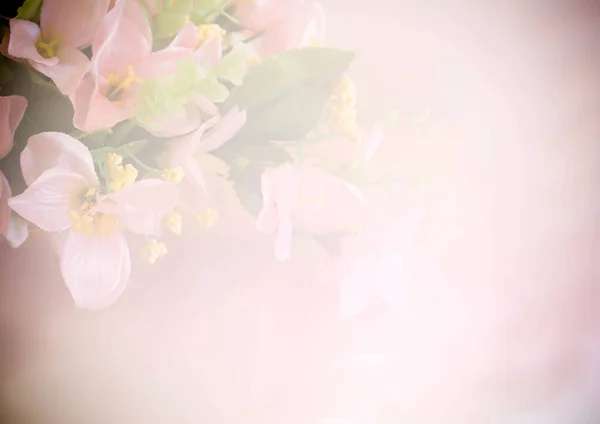 粉红色 色泽的花 — 图库照片