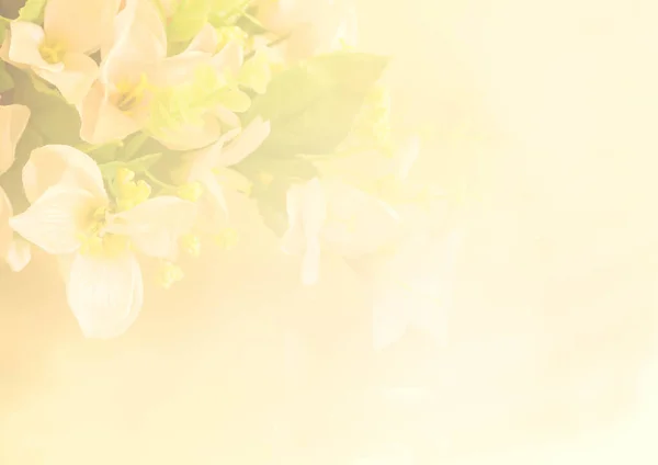 Blurerd Ткань Цветок Тон Цвета — стоковое фото