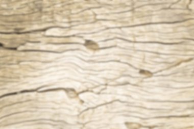 Eski ahşap iz geçmişinin bulanık ve soyut fotoğrafı