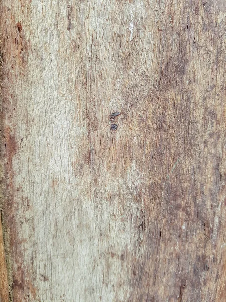 Old Rustic Wood Background — Stock Photo, Image