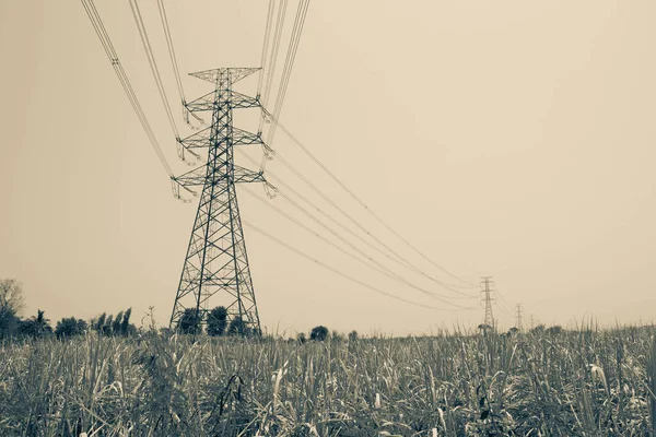 Elektrik Iletim Pilonu Modern Kasabada Mavi Gökyüzüne Binaya Karşı Yerleştirilmiş — Stok fotoğraf