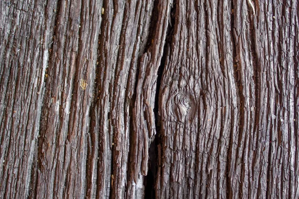 Old Rustic Wood Background — Stock Photo, Image