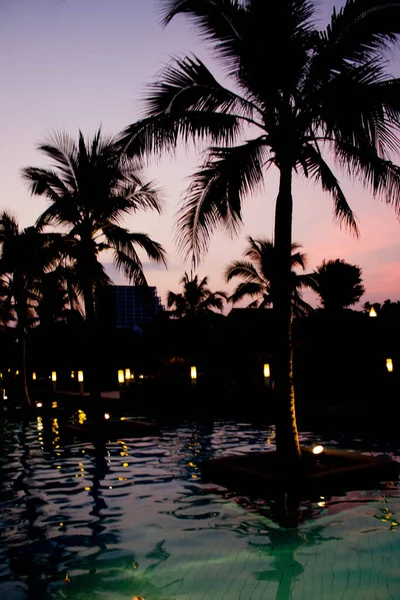 落日背景下水池中的椰子树 — 图库照片