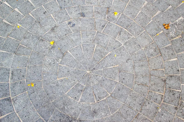 Stone Pavement Texture Background — Stock Photo, Image