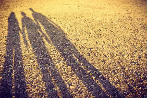 Family Shadow Dried Grasses Park — Stock Photo, Image