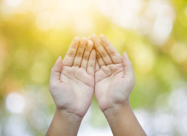 İnsan elleri açık, avuçlar doğanın üzerinde bulanık arka plan ve güneş ışığı