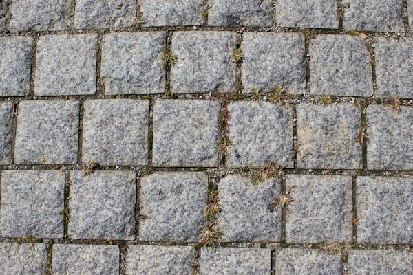 Piedra Azulejo Pavimento Textura Fondo Con Hierbas —  Fotos de Stock