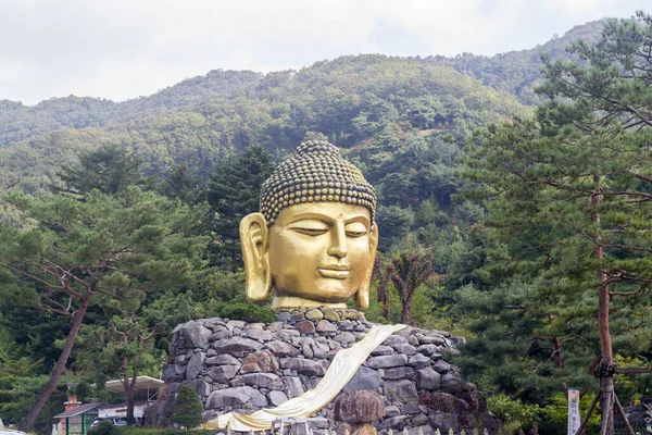 Estatua Buddha Roca Natural Corea — Foto de Stock