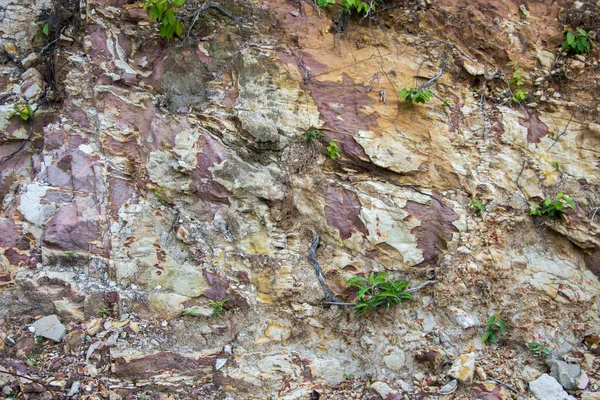 Bergstruktur Bakgrund Med Lite Grönt Träd — Stockfoto