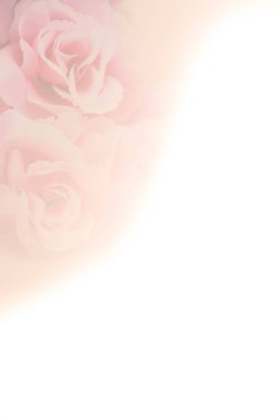 Arka plan için yumuşak bulanık pembe gül