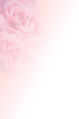 Arka plan için yumuşak bulanık pembe gül