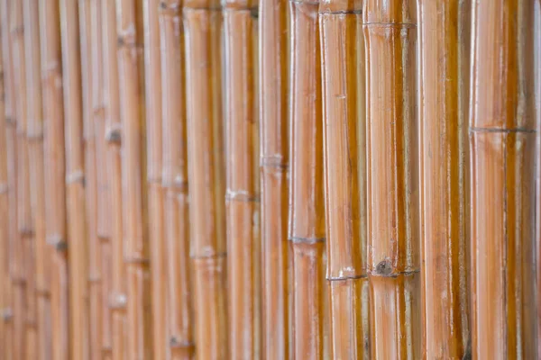 Primo Piano Sfondo Recinzione Bambù — Foto Stock