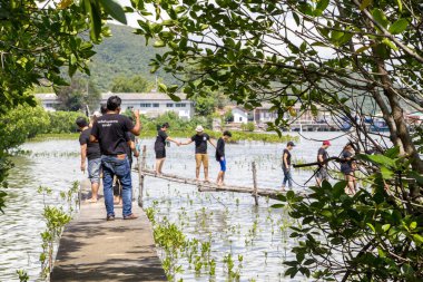 Gönüllüler, 13 Kasım 2016 'da Tayland' ın başkenti Songkhla 'da mangrov ormanının derinliklerine genç bir ağaç dikmek için bir araya geldiler..