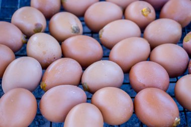 Izgara yumurta: Sos, biber ve yumurta karışımı.