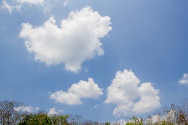 Beyaz bulut mavi gökyüzünde ağaçların üzerinde