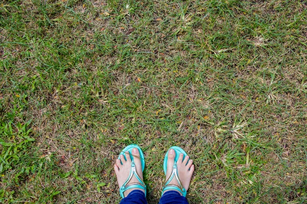 Puncak Pandangan Kaki Wanita Dalam Sepatu Biru Lantai Rumput — Stok Foto