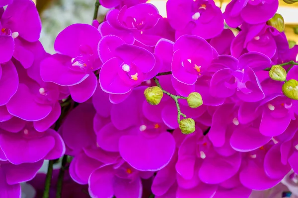 Flores Artificiais Orquídea Roxa Para Decoração — Fotografia de Stock