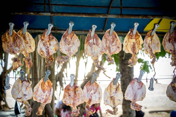 Szárított Tintahal Lógott Eladó Utcai Élelmiszer Thiland — Stock Fotó
