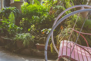 Bahçede güneş ışığıyla eski pembe salıncak