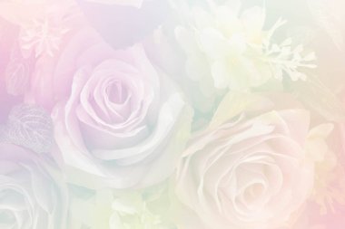 Yumuşak renklerde pembe güller ve arka plan için bulanık biçimler