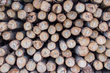 Kereste deposunda bir yığın yeni odun.