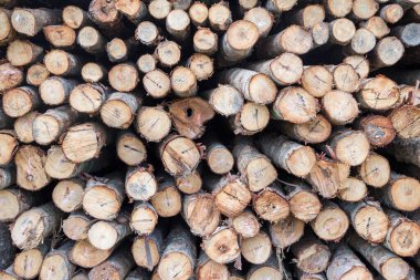 Kereste deposunda bir yığın yeni odun.