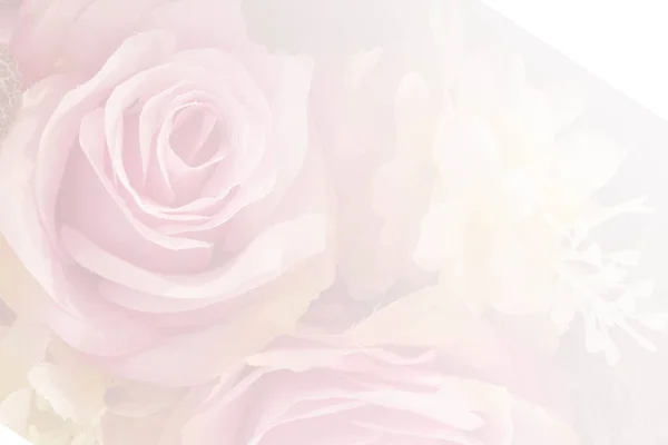 Růžové Růže Měkké Barvě Rozmazaný Styl Pro Pozadí — Stock fotografie