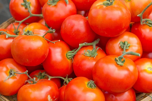 Haufen Frischer Tomaten — Stockfoto
