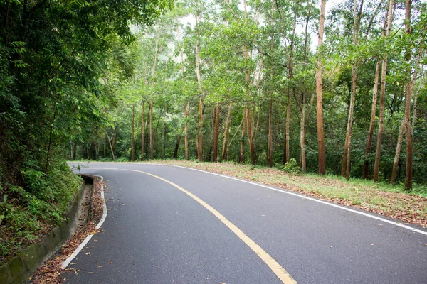 Asphaltstraße Hinauf Zum Hügel Mit Grünen Bäumen — Stockfoto