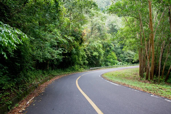 Route Asphaltée Jusqu Colline Avec Des Arbres Verts — Photo