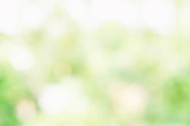 soyut de odaklanmış bulanık doğa arkaplanı