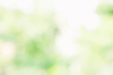 soyut de odaklanmış bulanık doğa arkaplanı