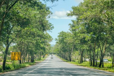 ağaç Road Songkla, Tayland