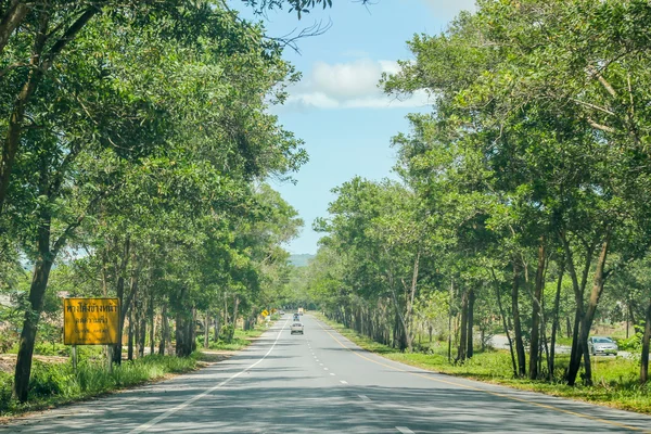 Baum entlang der Straße in songkla, Thailand — Stockfoto